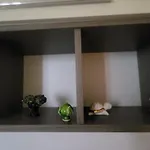 Un Raggio Di Sole