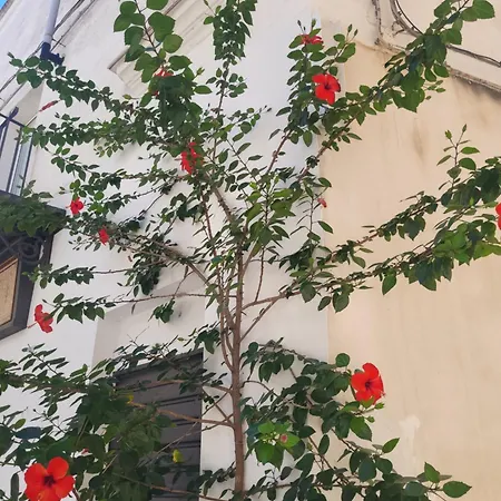 Un Raggio Di Sole