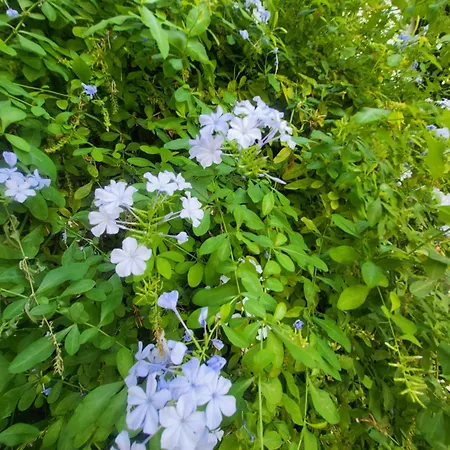 Un Raggio Di Sole בית נופש *