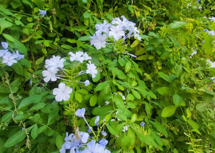 Un Raggio Di Sole بيت للعطل *